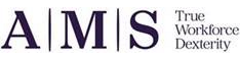 Risk and Controls Analyst Logo